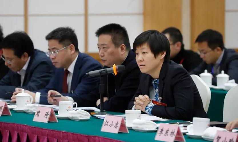 株洲周琦个人简历？株洲高新区周琦？