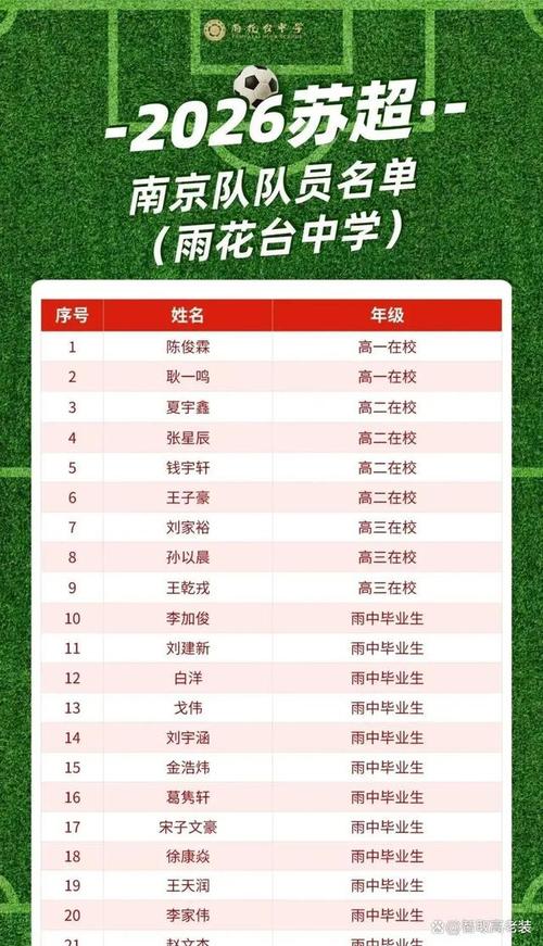 南京城市足球俱乐部名单，南京城市足球队？